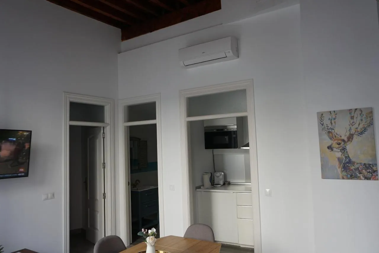Apartamentos Mediterranea Centro Malaga Apartment